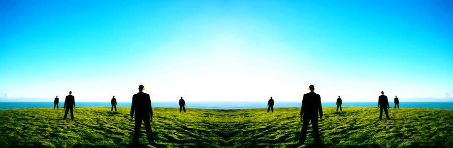 The MIS Departmant - Business Horizon
