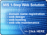 Web Solutions provided by MIS